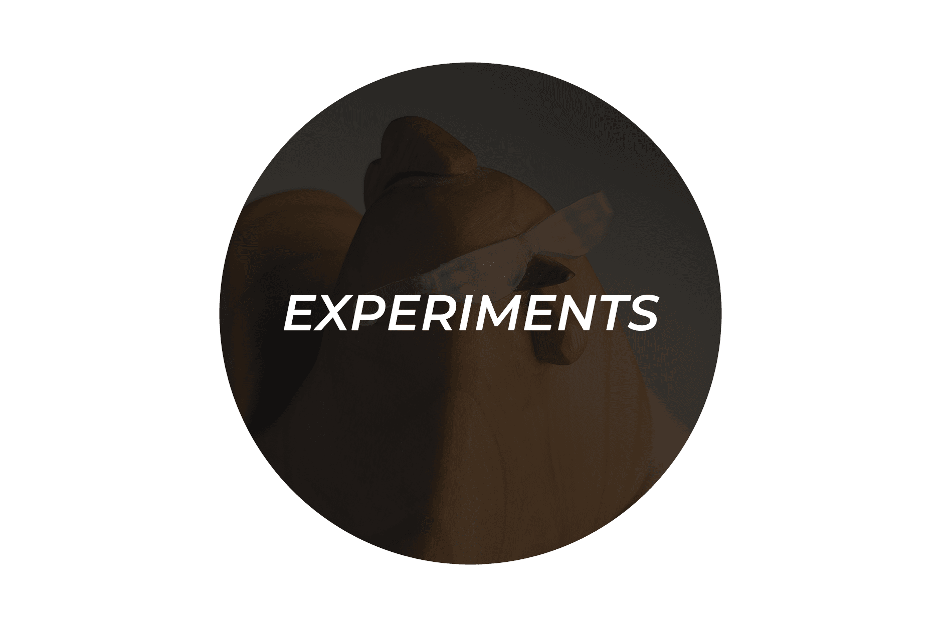 Experiments