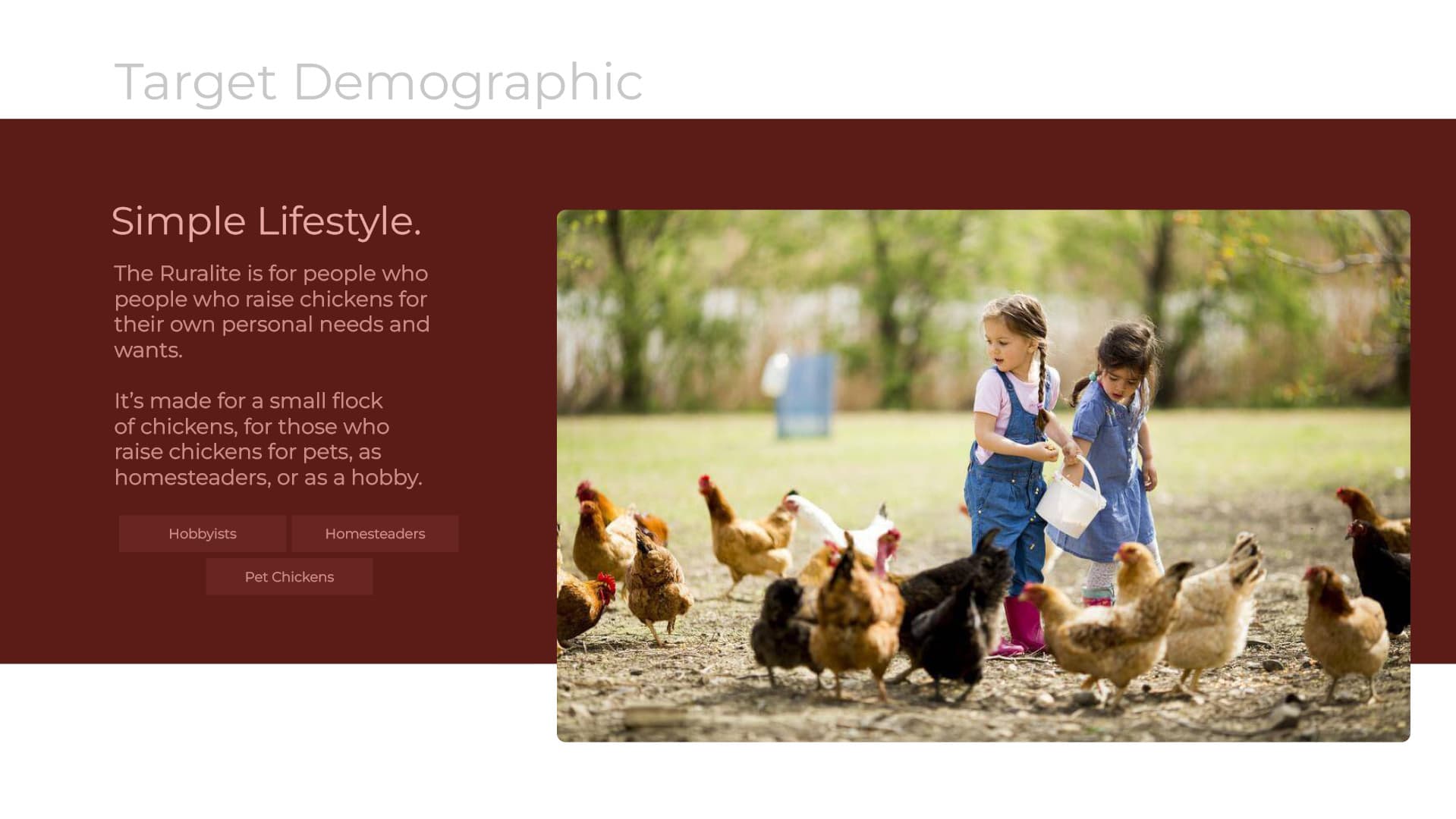 Chicken Coop Image 3